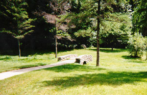 A small bridge in Arboretum Park