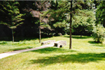 A small bridge in Arboretum Park